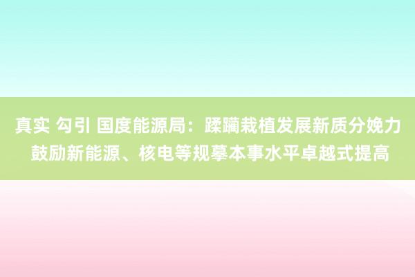 真实 勾引 国度能源局：蹂躏栽植发展新质分娩力 鼓励新能源、核电等规摹本事水平卓越式提高