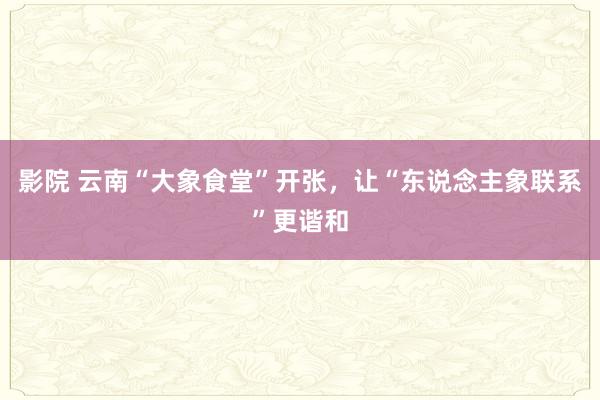 影院 云南“大象食堂”开张，让“东说念主象联系”更谐和