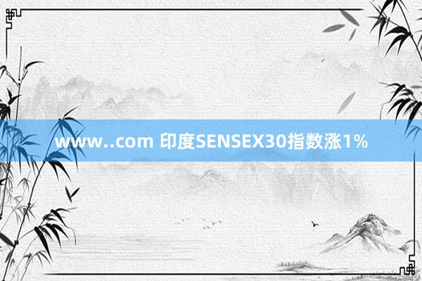 www..com 印度SENSEX30指数涨1%